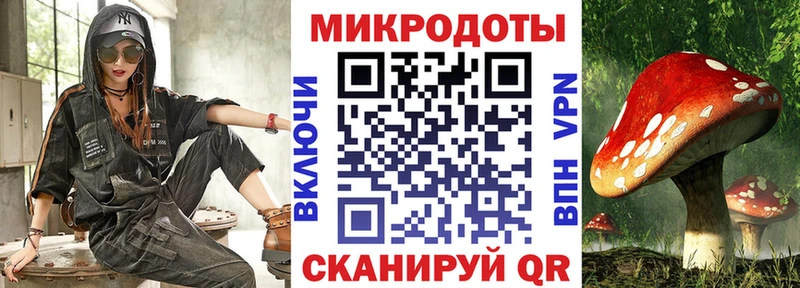 гидра онион  где купить наркотик  Чадан  Галлюциногенные грибы Magic Shrooms 